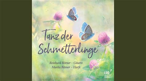  Der Tanz der Schmetterlinge - Eine Symphonie aus Terrakotta und spiritueller Kraft!